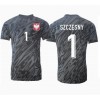Polen Wojciech Szczesny #1 Torwart Auswärtstrikot EM 2024 Kurzarm